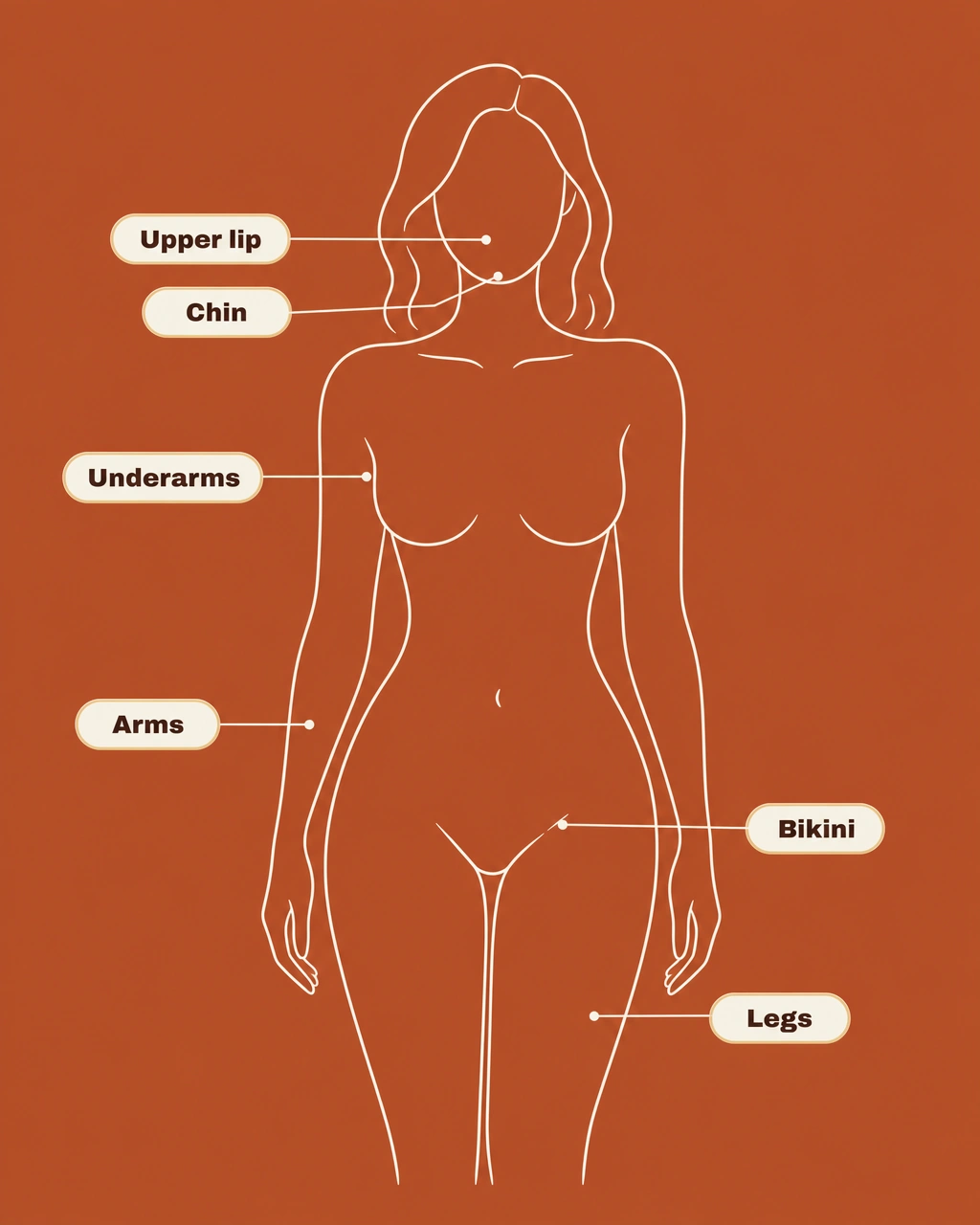Body silhouette showing treatment areas: upper lip, chin, underarms, arms, bikini, legs